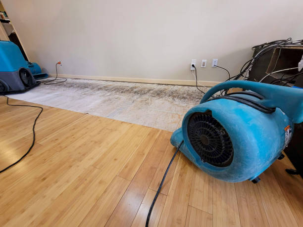 Professional Basement Flood Cleanup technician working in Hermanville, MS